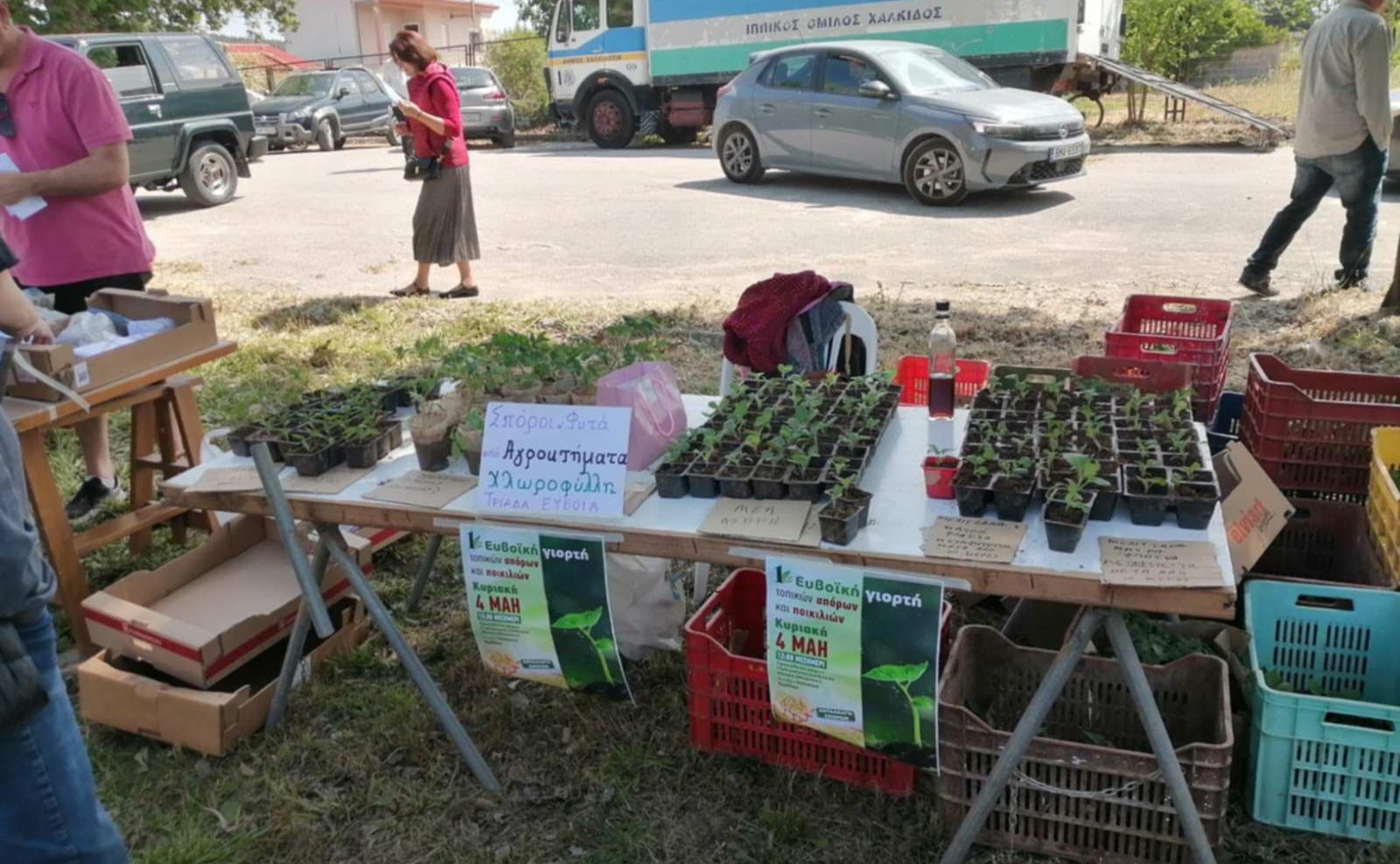 Πού έγινε η 1η Ευβοϊκή Γιορτή Τοπικών Σπόρων και Ποικιλιών Πού έγινε η 1η Ευβοϊκή Γιορτή Τοπικών Σπόρων και Ποικιλιών