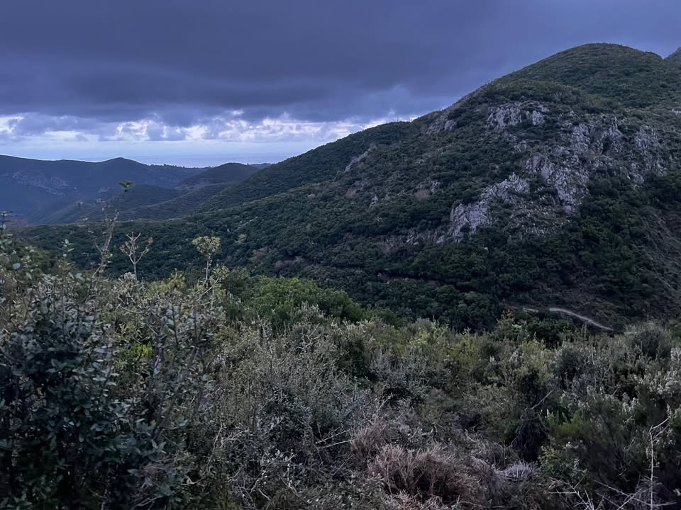 Εύβοια: Οδηγίες για την προσκυνηματική διαδρομή Εύβοια: Οδηγίες για την προσκυνηματική διαδρομή