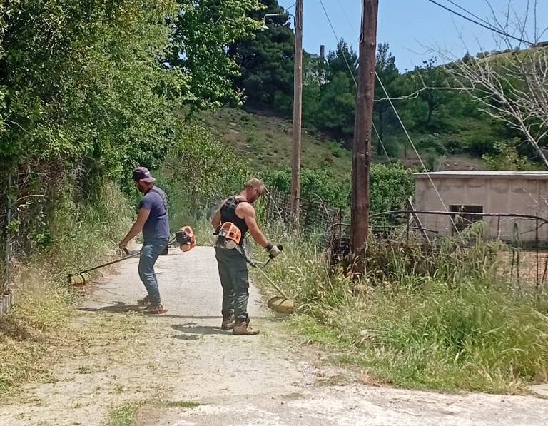Εύβοια: Τα… «κούρεψαν» όλα στη Σέτα – Εικόνες
