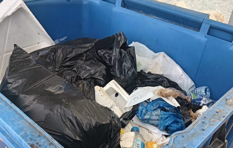 Σάλος στην Εύβοια: Γέμισαν με ψάρια και σκουπίδια τους κάδους ανακύκλωσης Σάλος στην Εύβοια: Γέμισαν με ψάρια και σκουπίδια τους κάδους ανακύκλωσης