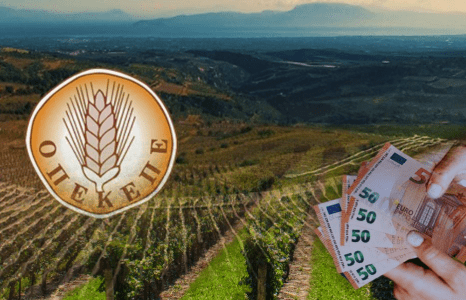 Πότε ξεκινούν οι επόμενες πληρωμές από τον ΟΠΕΚΕΠΕ Πότε ξεκινούν οι επόμενες πληρωμές από τον ΟΠΕΚΕΠΕ