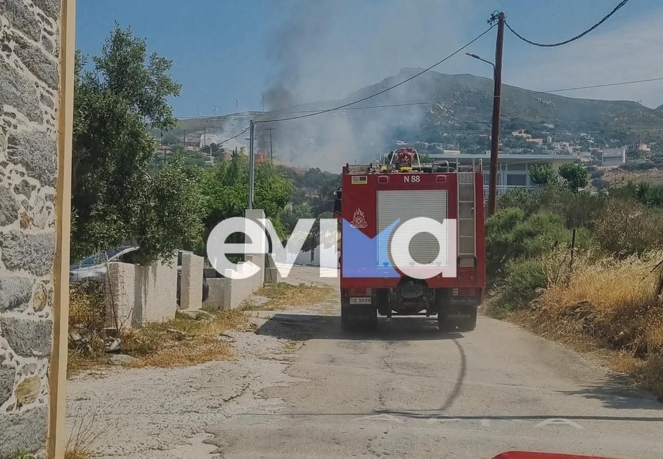 Κοντά σε σπίτια ήταν η φωτιά στο Νικάσι Καρύστου – Νέες εικόνες Κοντά σε σπίτια ήταν η φωτιά στο Νικάσι Καρύστου – Νέες εικόνες
