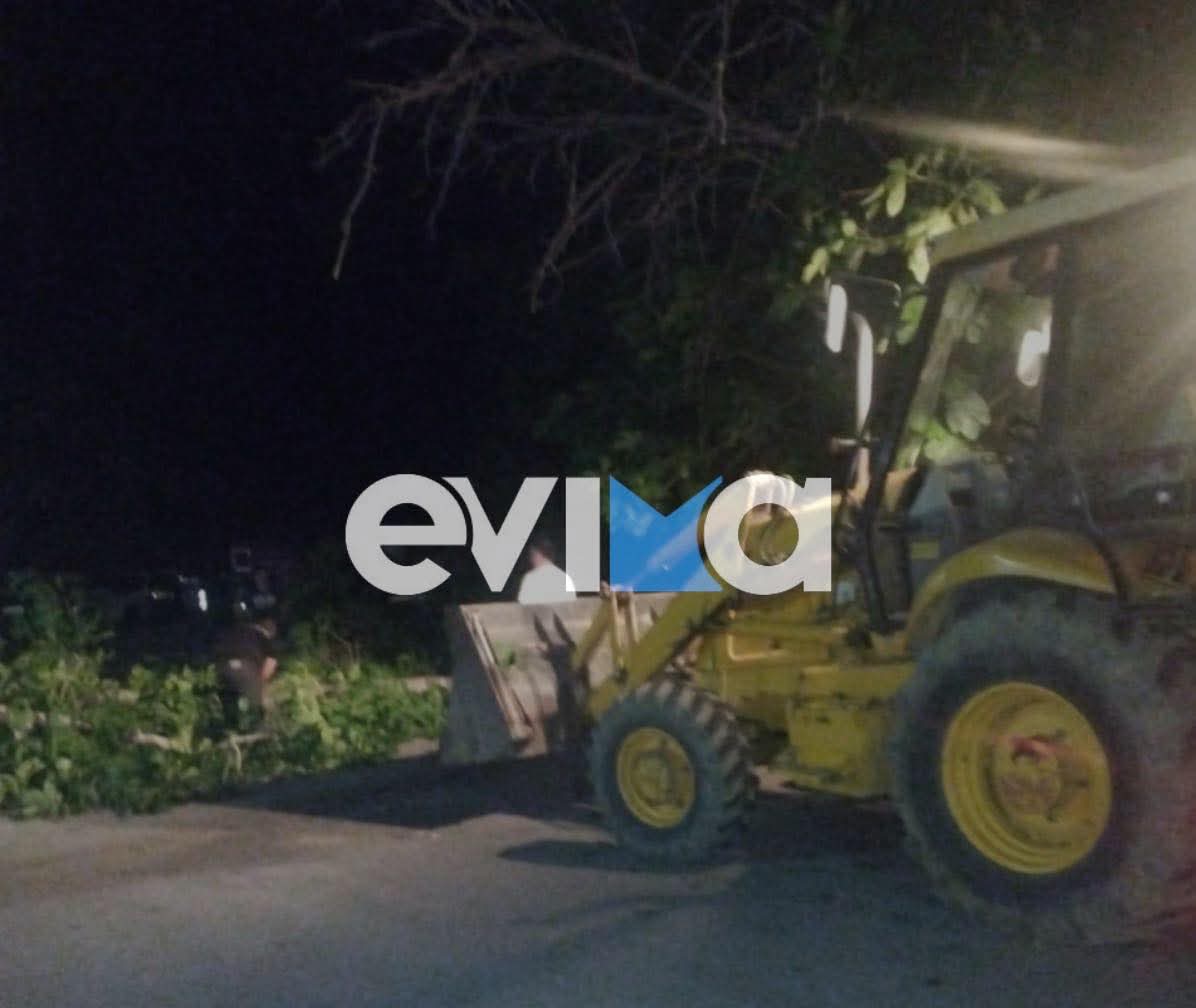 Εύβοια: Άνοιξε ο δρόμος στην Κάτω Στενή μετά την πτώση δέντρου (εικόνες&βίντεο)