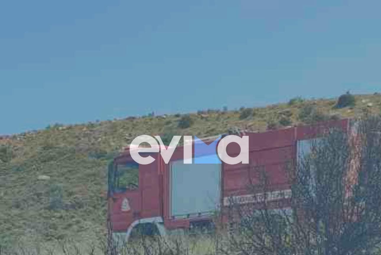 Φωτιά τώρα στην Εύβοια