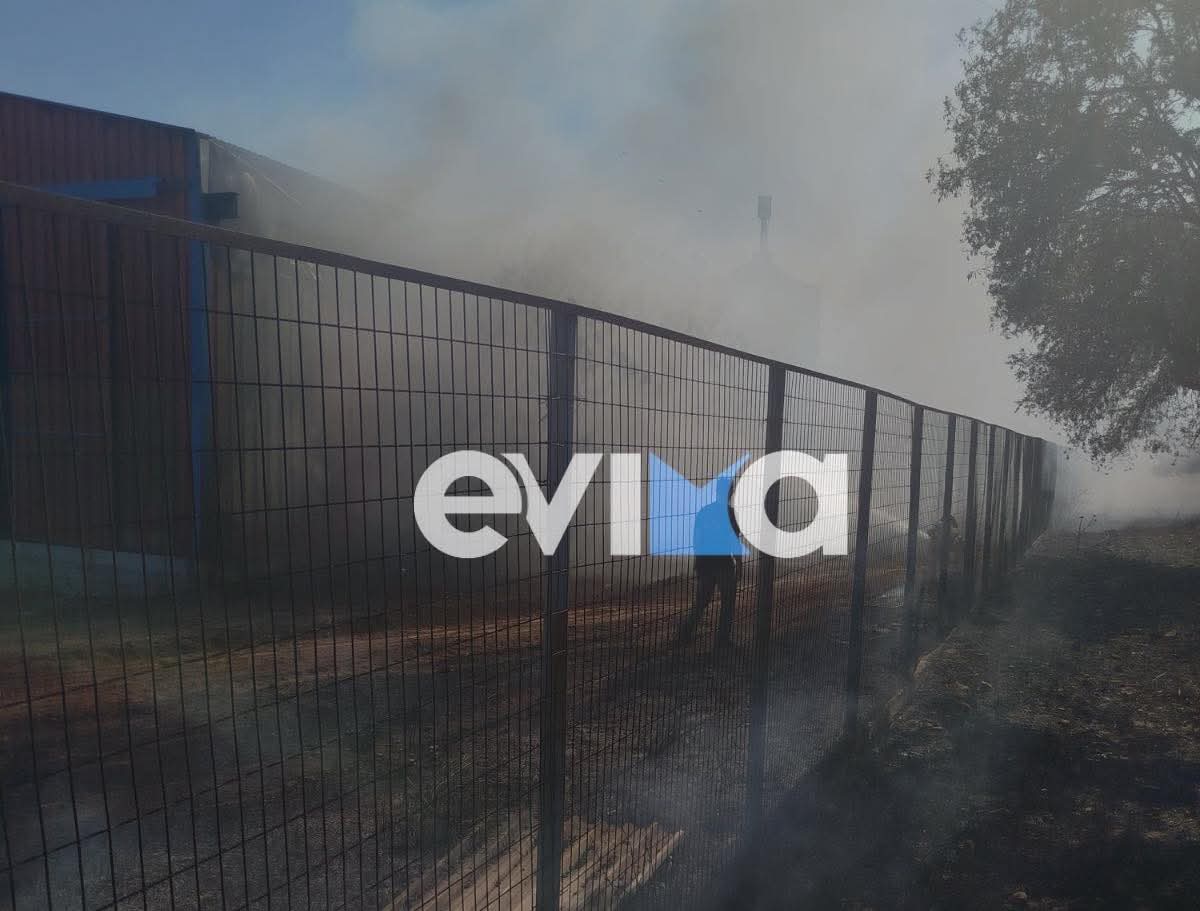 Φωτιά σε βιομηχανική περιοχή της Εύβοιας
