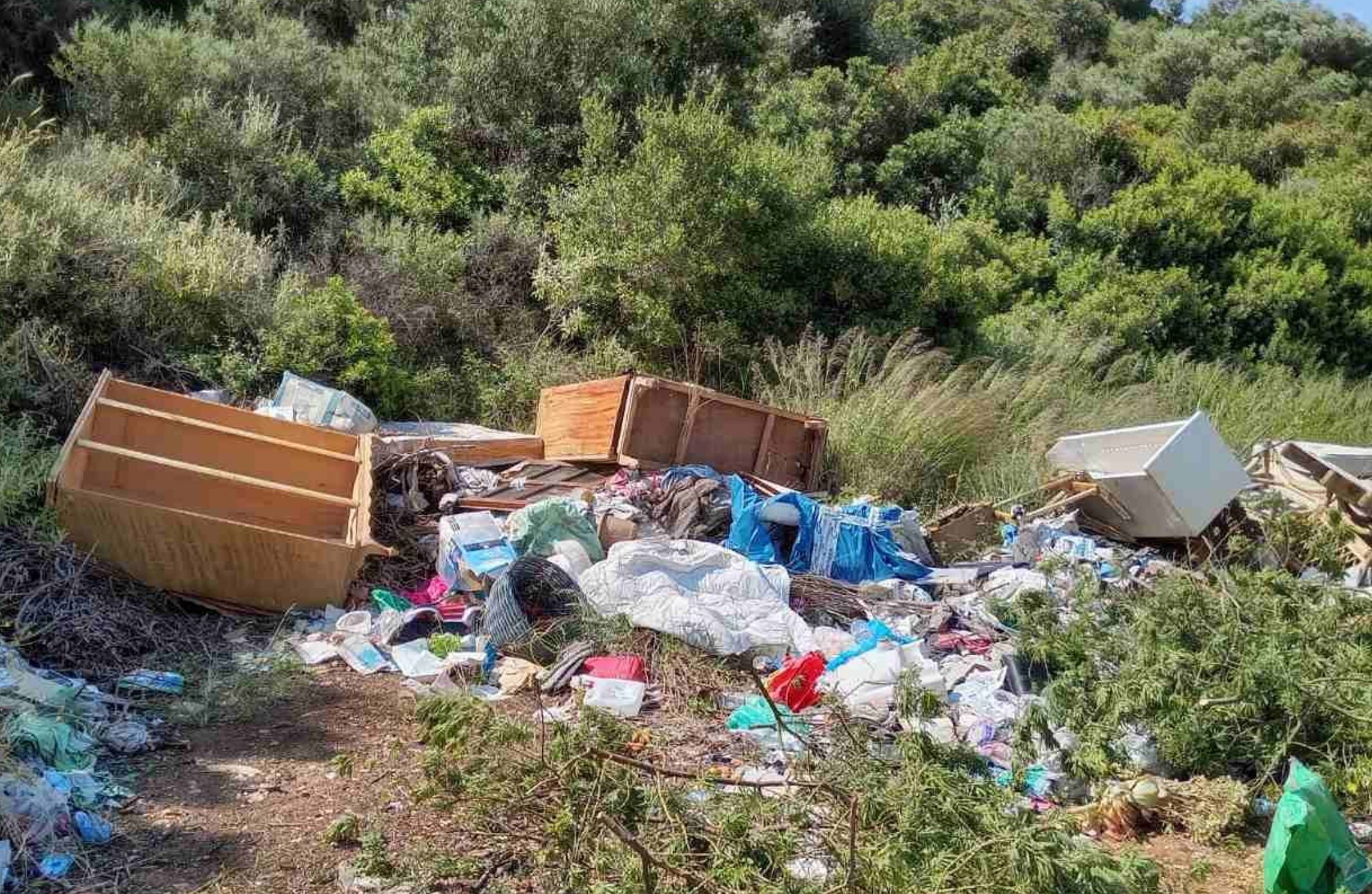 Προσοχή! Τι πρέπει να κάνετε με μπάζα, κλαδιά και σκουπίδια στην Εύβοια