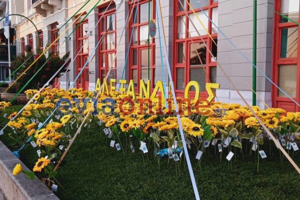 Η Εύβοια γέμισε φως και λουλούδια στη μνήμη του μικρού Αλέξανδρου Η Εύβοια γέμισε φως και λουλούδια στη μνήμη του μικρού Αλέξανδρου