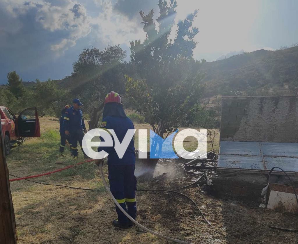 Φωτιά στα Ψαχνά Ευβοίας Φωτιά στα Ψαχνά Ευβοίας