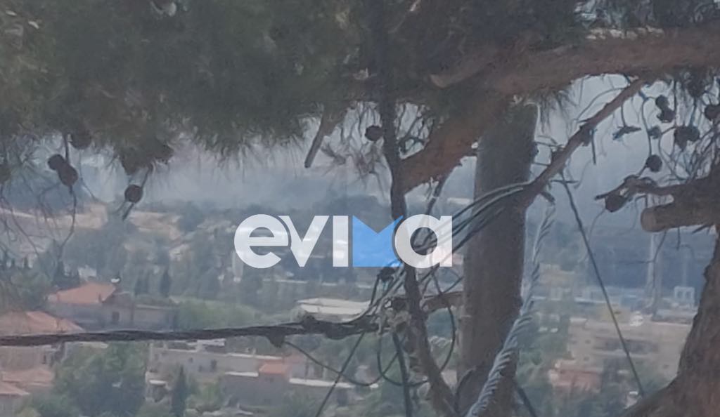 Φωτιά τώρα στην Εύβοια: Δίπλα σε εργοστάσιο οι φλόγες – Η πρώτη εικόνα Φωτιά τώρα στην Εύβοια: Δίπλα σε εργοστάσιο οι φλόγες – Η πρώτη εικόνα