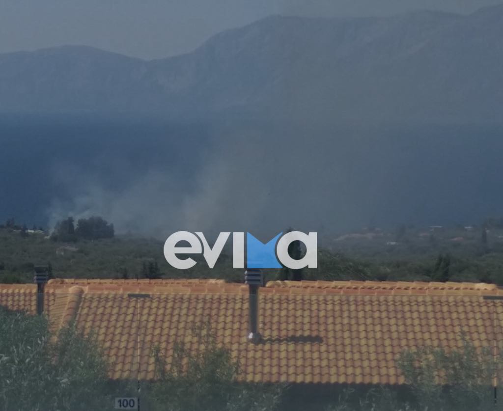 Φωτιά τώρα στα Λουκίσια του Δήμου Χαλκιδέων κοντά σε κτήμα δεξιώσεων Φωτιά τώρα στα Λουκίσια του Δήμου Χαλκιδέων κοντά σε κτήμα δεξιώσεων