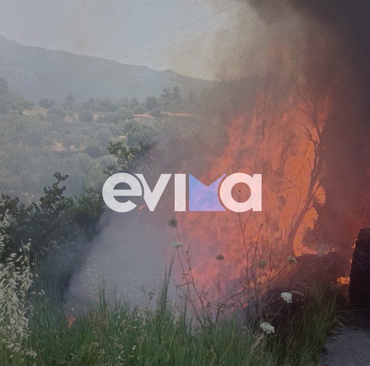 Νέα φωτιά τώρα στην Εύβοια – Οι πρώτες εικόνες Νέα φωτιά τώρα στην Εύβοια – Οι πρώτες εικόνες