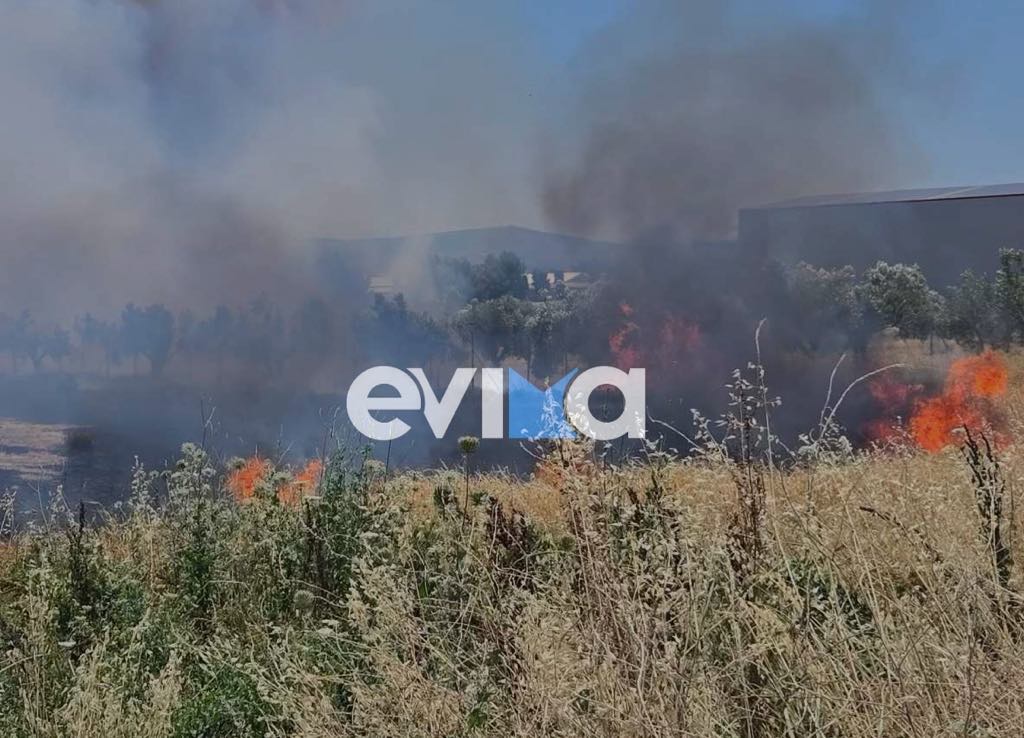 Εύβοια: Οριοθετήθηκε η φωτιά που ξέσπασε κοντά σε εργοστάσιο Εύβοια: Οριοθετήθηκε η φωτιά που ξέσπασε κοντά σε εργοστάσιο