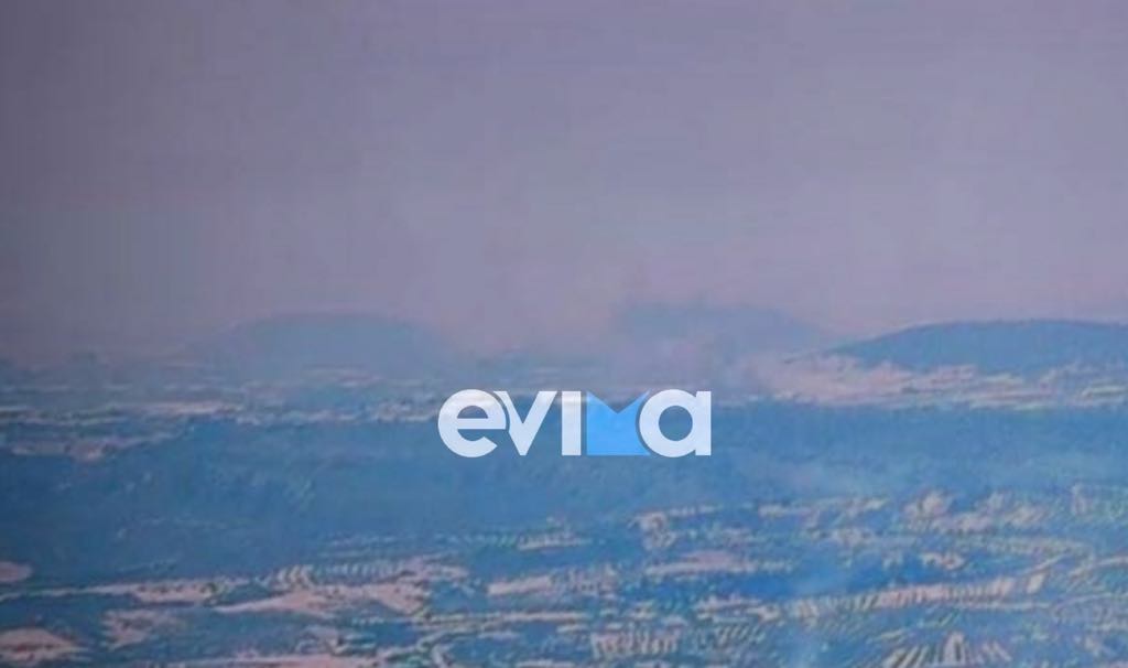 Φωτιά τώρα στην Εύβοια κοντά σε εργοστάσιο Φωτιά τώρα στην Εύβοια κοντά σε εργοστάσιο