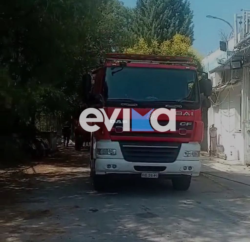 Φωτιά τώρα στην περιοχή των Ναυπηγείων Χαλκίδας Φωτιά τώρα στην περιοχή των Ναυπηγείων Χαλκίδας