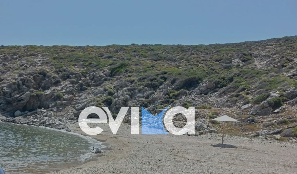 Νεκρό δελφίνι «ξέβρασε» η θάλασσα σε παραλία της Εύβοιας Νεκρό δελφίνι «ξέβρασε» η θάλασσα σε παραλία της Εύβοιας