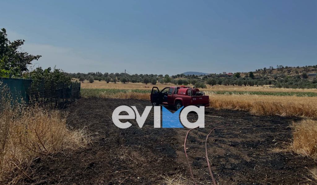 Νέα φωτιά στην Εύβοια σε ξερά χόρτα Νέα φωτιά στην Εύβοια σε ξερά χόρτα
