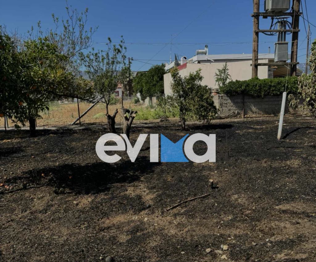 Φωτιά τώρα στα Ψαχνά Ευβοίας Φωτιά τώρα στα Ψαχνά Ευβοίας