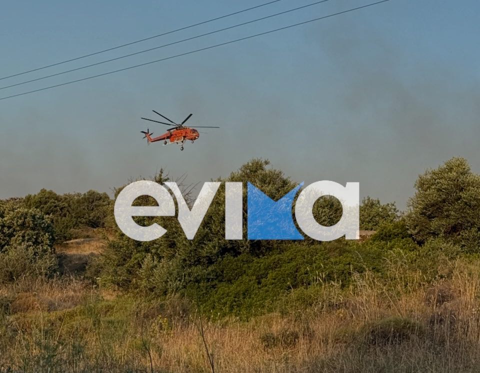 Εύβοια: Καλύτερη εικόνα της φωτιάς, αλλά φόβοι για νέα μέτωπα Εύβοια: Καλύτερη εικόνα της φωτιάς, αλλά φόβοι για νέα μέτωπα