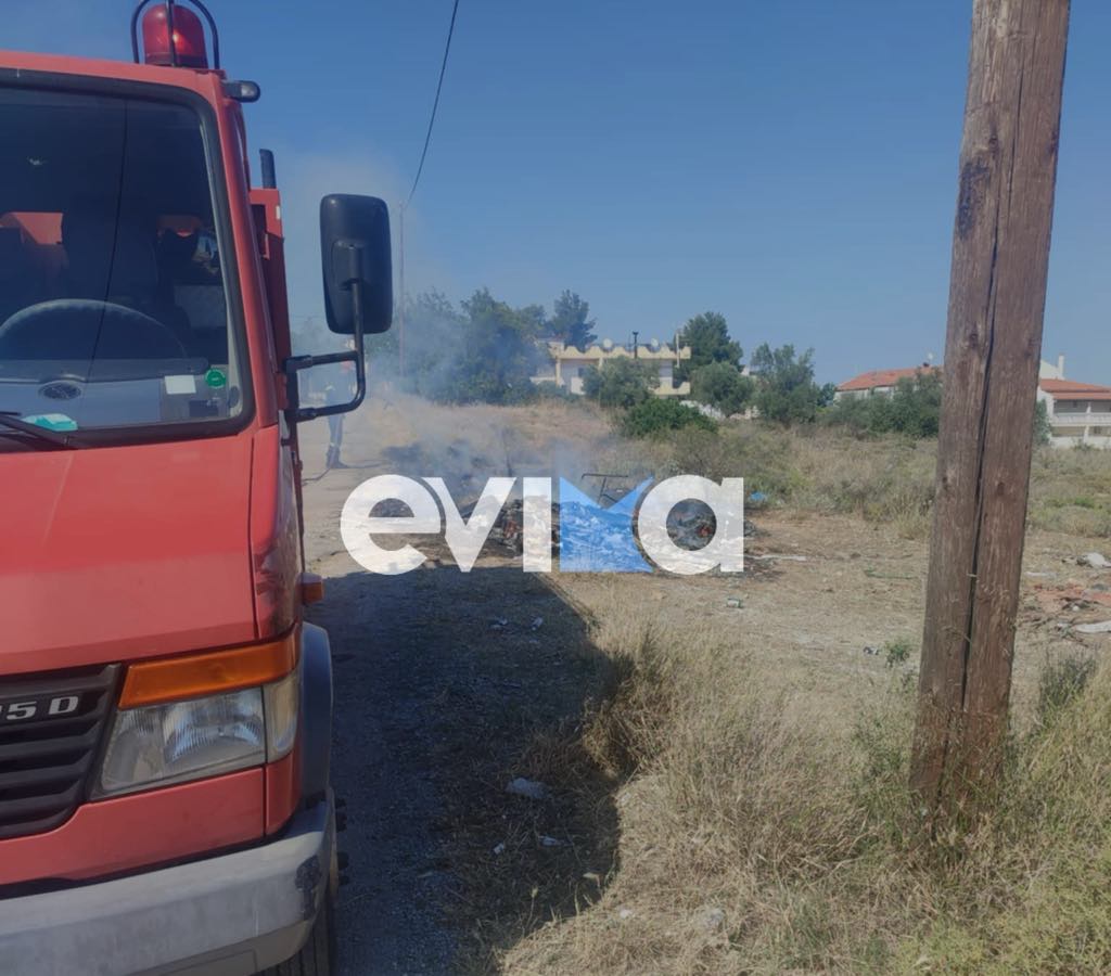 Φωτιά τώρα στη Χαλκίδα: Κοντά σε σπίτια οι φλόγες – Βίντεο
