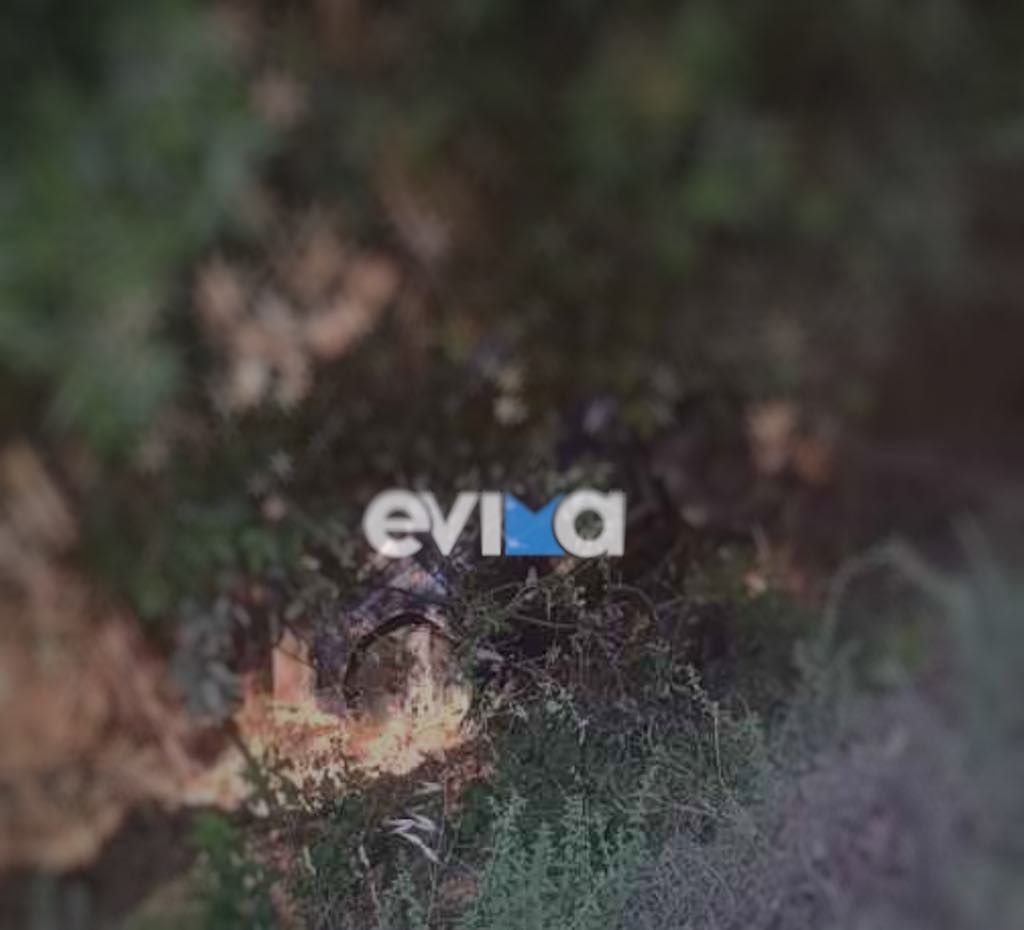 Σοβαρό τροχαίο στην Εύβοια: Ανατροπή οχήματος σε δύσβατο σημείο – Τραυματίας ο οδηγός
