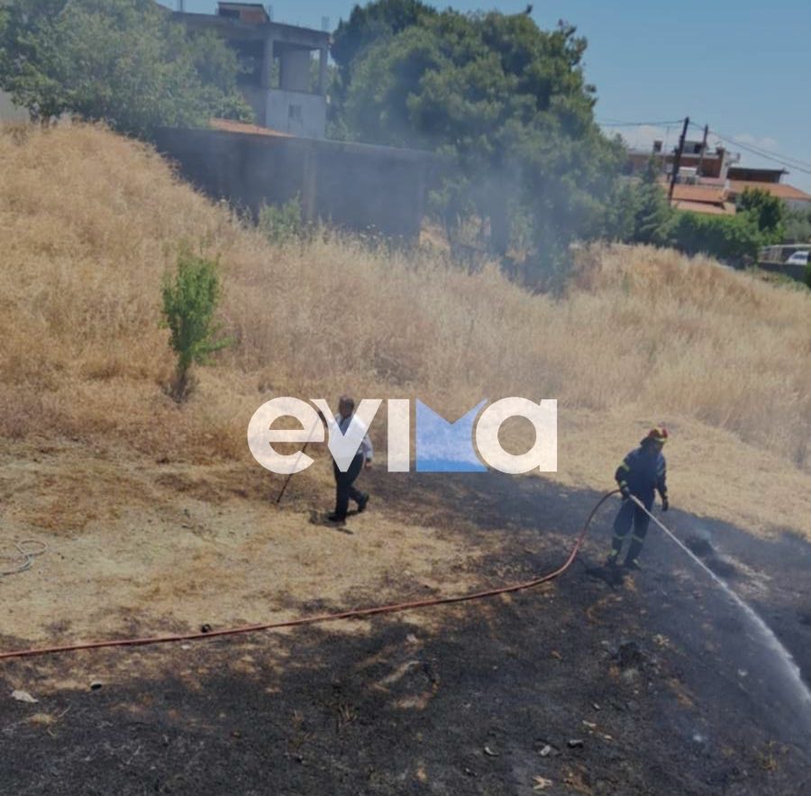 Υπό έλεγχο η φωτιά σε ξερά χόρτα στην Εύβοια
