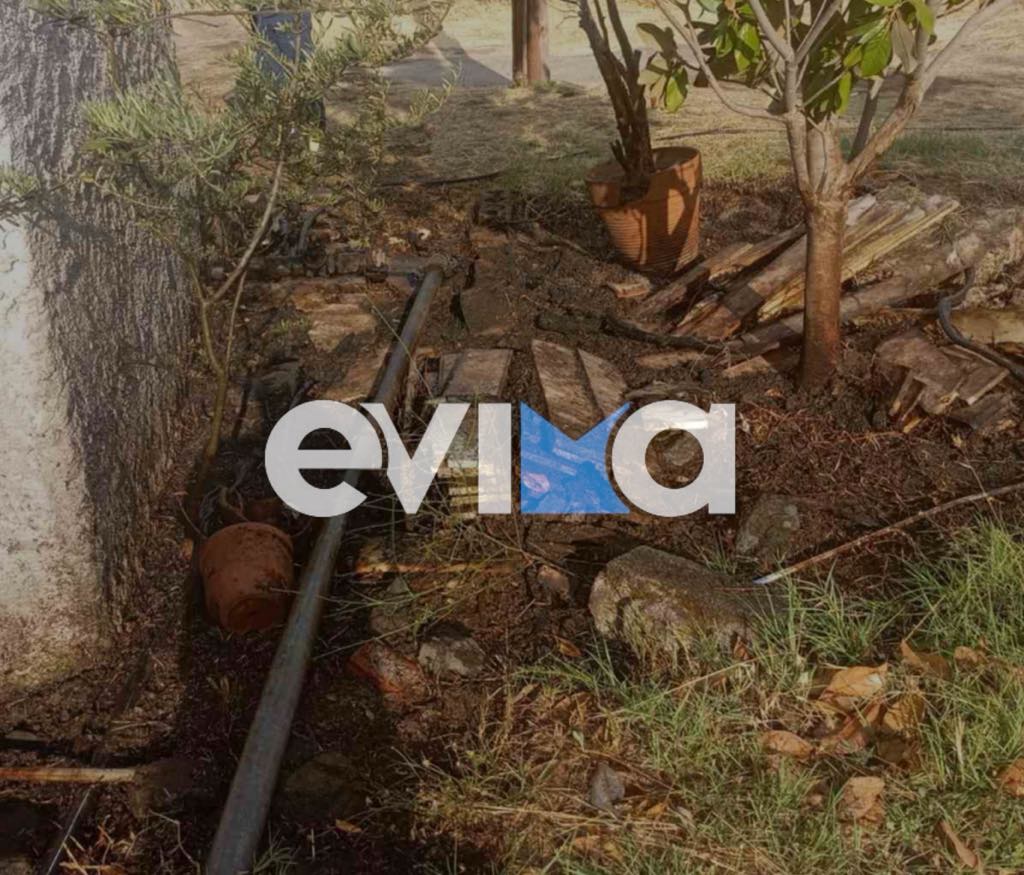 Φωτιά στα Ψαχνά Ευβοίας Φωτιά στα Ψαχνά Ευβοίας