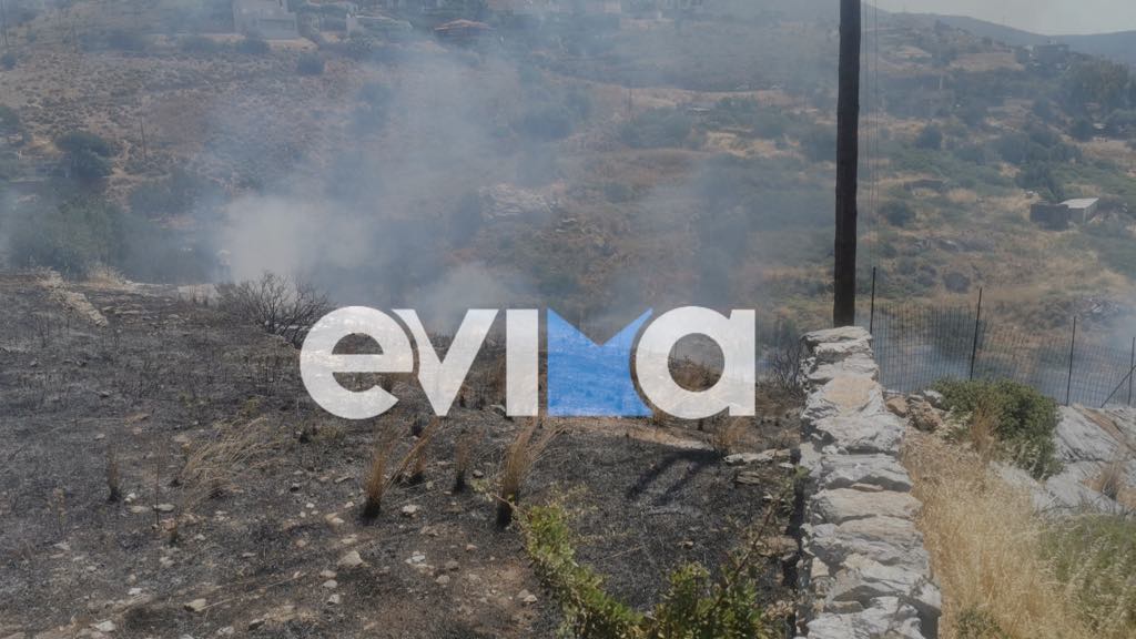Φωτιά τώρα στην Κάρυστο Ευβοίας Φωτιά τώρα στην Κάρυστο Ευβοίας