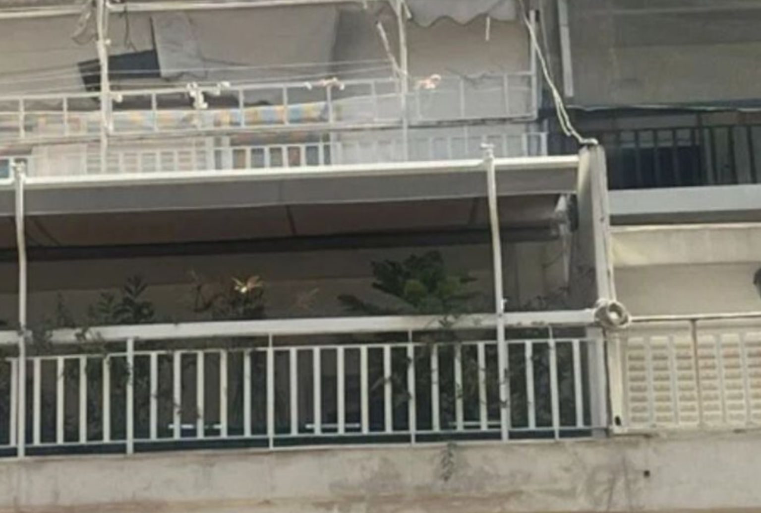 Άφαντοι οι γονείς που άφησαν το μωρό να κλαίει στο μπαλκόνι Άφαντοι οι γονείς που άφησαν το μωρό να κλαίει στο μπαλκόνι