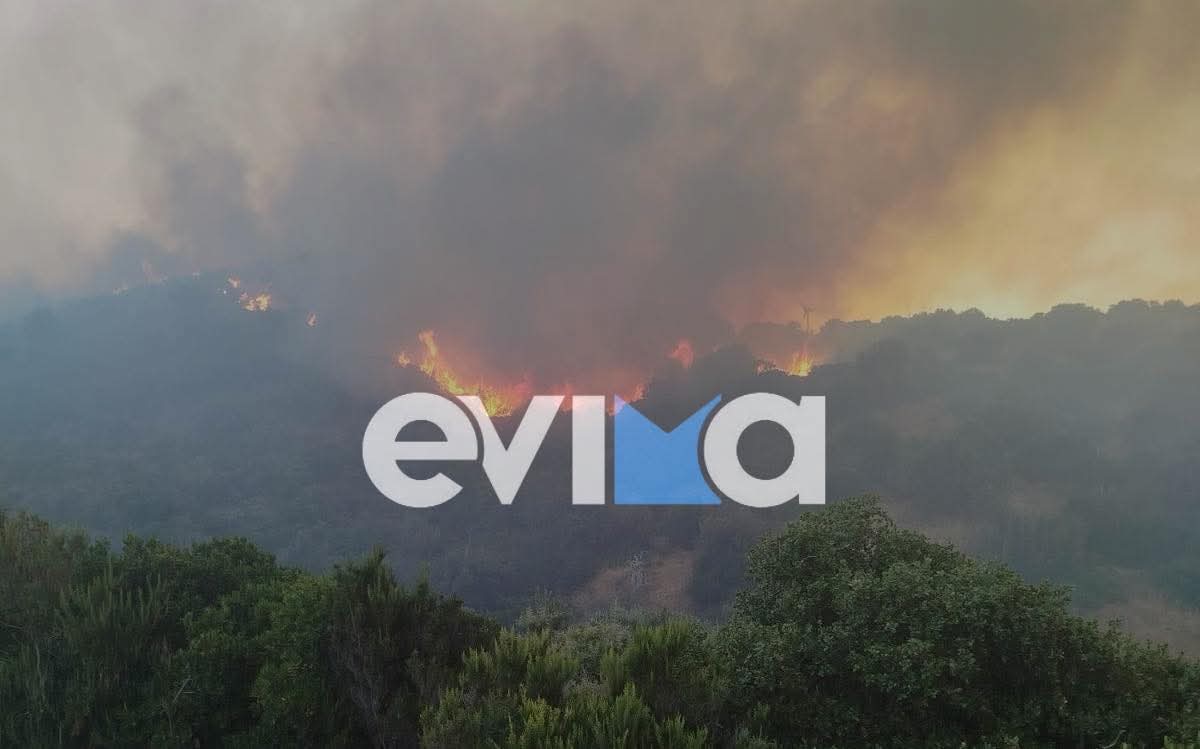 Πολύ υψηλός κίνδυνος φωτιάς αύριο στην Εύβοια – Οι περιοχές σε πορτοκαλί συναγερμό Πολύ υψηλός κίνδυνος φωτιάς αύριο στην Εύβοια – Οι περιοχές σε πορτοκαλί συναγερμό