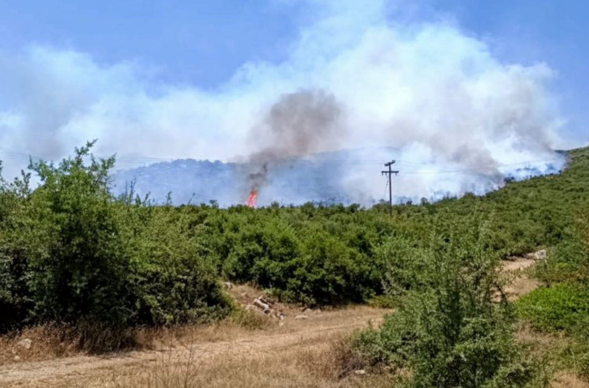 Επικίνδυνο κοκτέιλ ζέστης και βοριάδων στην Εύβοια