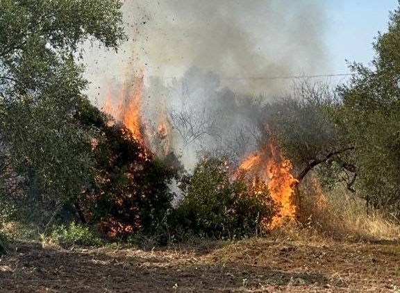 Κίτρινος συναγερμός για φωτιά σήμερα στην Εύβοια – Οι περιοχές Κίτρινος συναγερμός για φωτιά σήμερα στην Εύβοια – Οι περιοχές