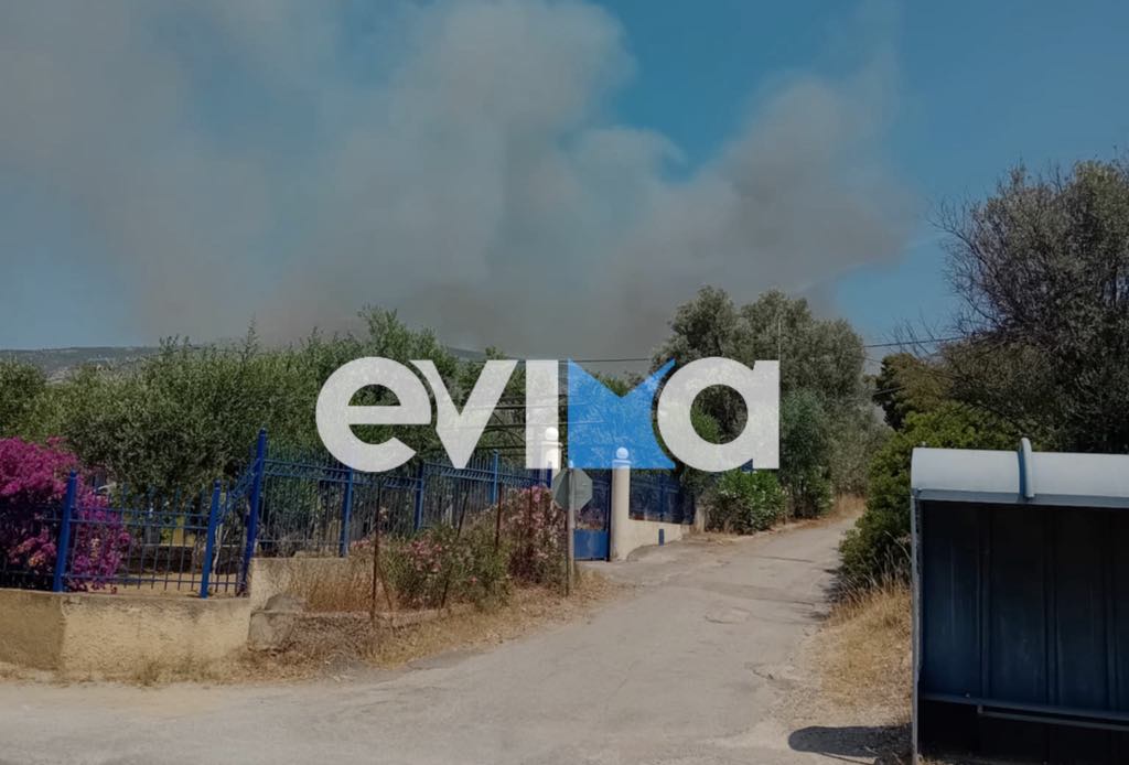 Μεγάλη φωτιά τώρα στην Εύβοια: Κοντά σε σπίτια οι φλόγες Μεγάλη φωτιά τώρα στην Εύβοια: Κοντά σε σπίτια οι φλόγες