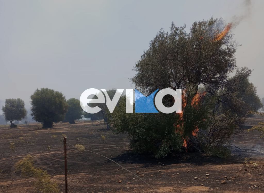 Νέες εικόνες και βίντεο από την μεγάλη φωτιά στην Εύβοια Νέες εικόνες και βίντεο από την μεγάλη φωτιά στην Εύβοια