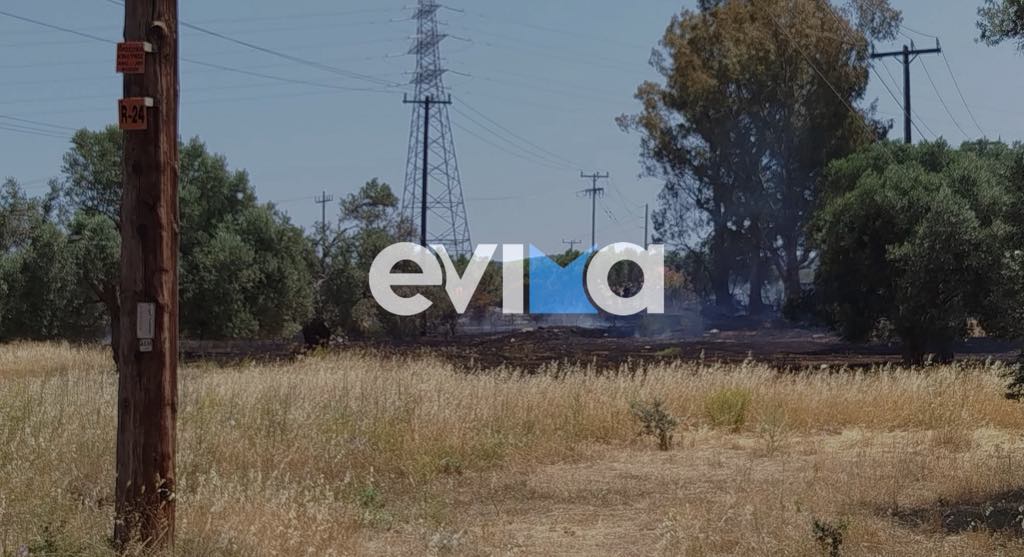 Έσβησε η φωτιά στην Εύβοια: Δεν κινδύνεψαν τα εργοστάσια Έσβησε η φωτιά στην Εύβοια: Δεν κινδύνεψαν τα εργοστάσια