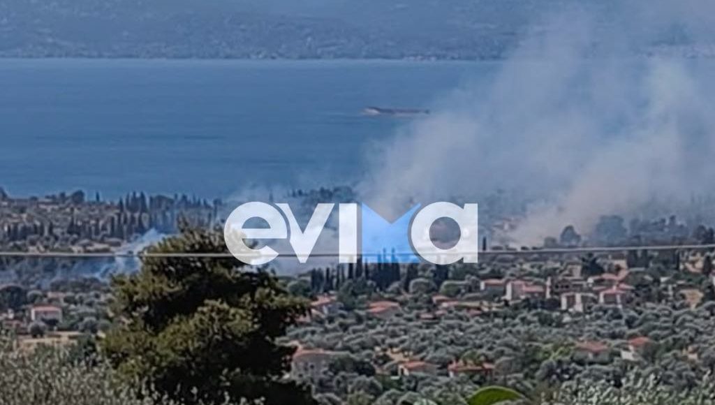 Μεγάλη φωτιά τώρα στην Εύβοια: Κοντά σε σπίτια οι φλόγες Μεγάλη φωτιά τώρα στην Εύβοια: Κοντά σε σπίτια οι φλόγες