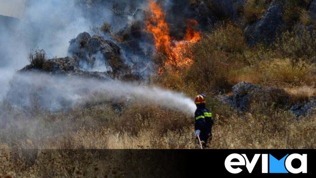 Φωτιά τώρα σε κάμπο της Εύβοιας Φωτιά τώρα σε κάμπο της Εύβοιας