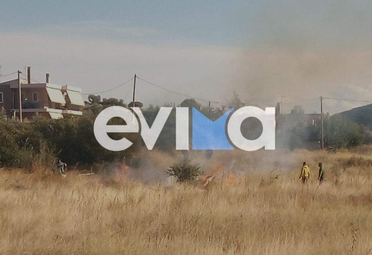 Νέα φωτιά τώρα στη Χαλκίδα Νέα φωτιά τώρα στη Χαλκίδα