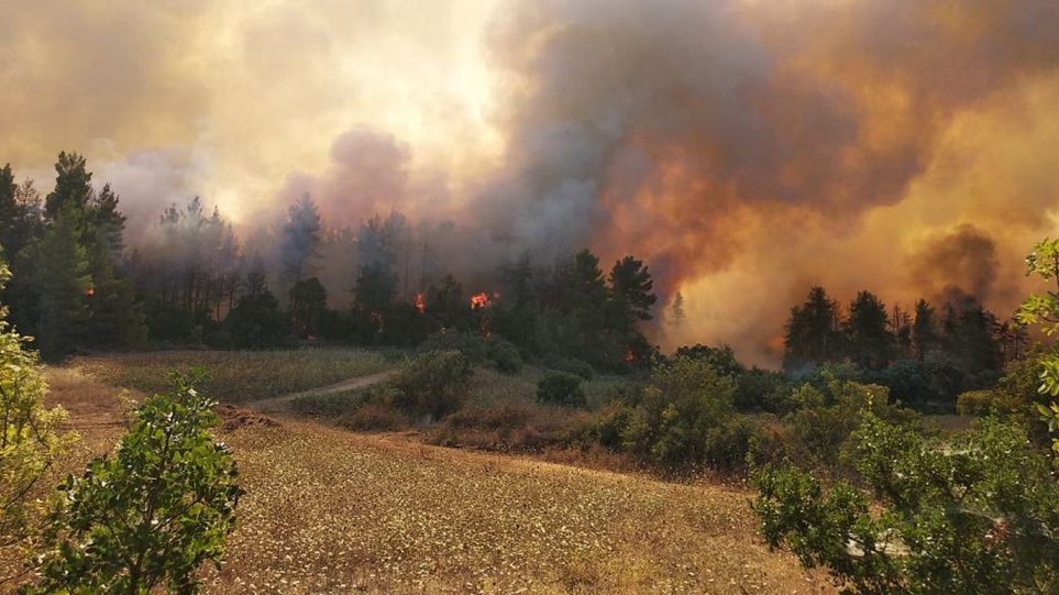 Φωτιά στη Μεσσηνία: Σηκώθηκαν και εναέρια μέσα Φωτιά στη Μεσσηνία: Σηκώθηκαν και εναέρια μέσα