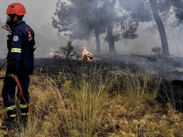 Φωτιά τώρα στον Ασπρόπυργο Φωτιά τώρα στον Ασπρόπυργο