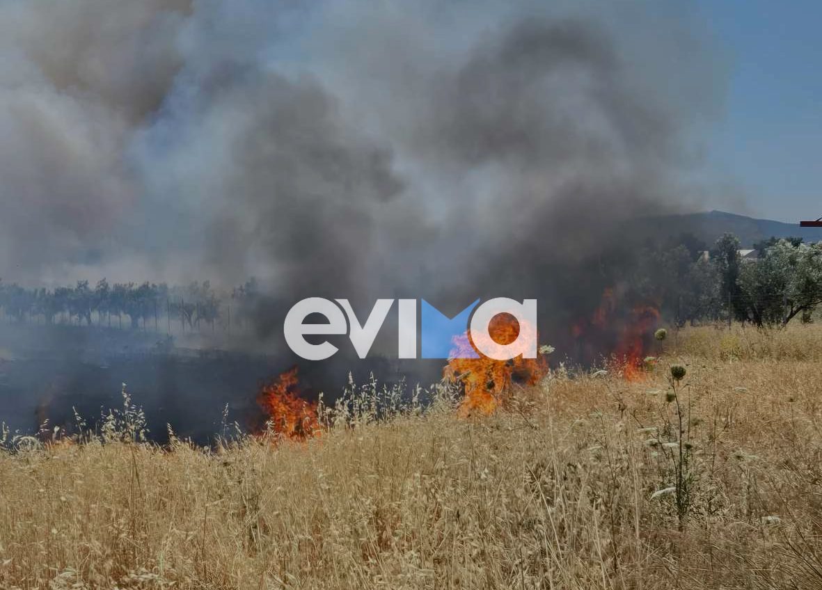 Φωτιά τώρα στην Εύβοια κοντά σε εργοστάσιο Φωτιά τώρα στην Εύβοια κοντά σε εργοστάσιο