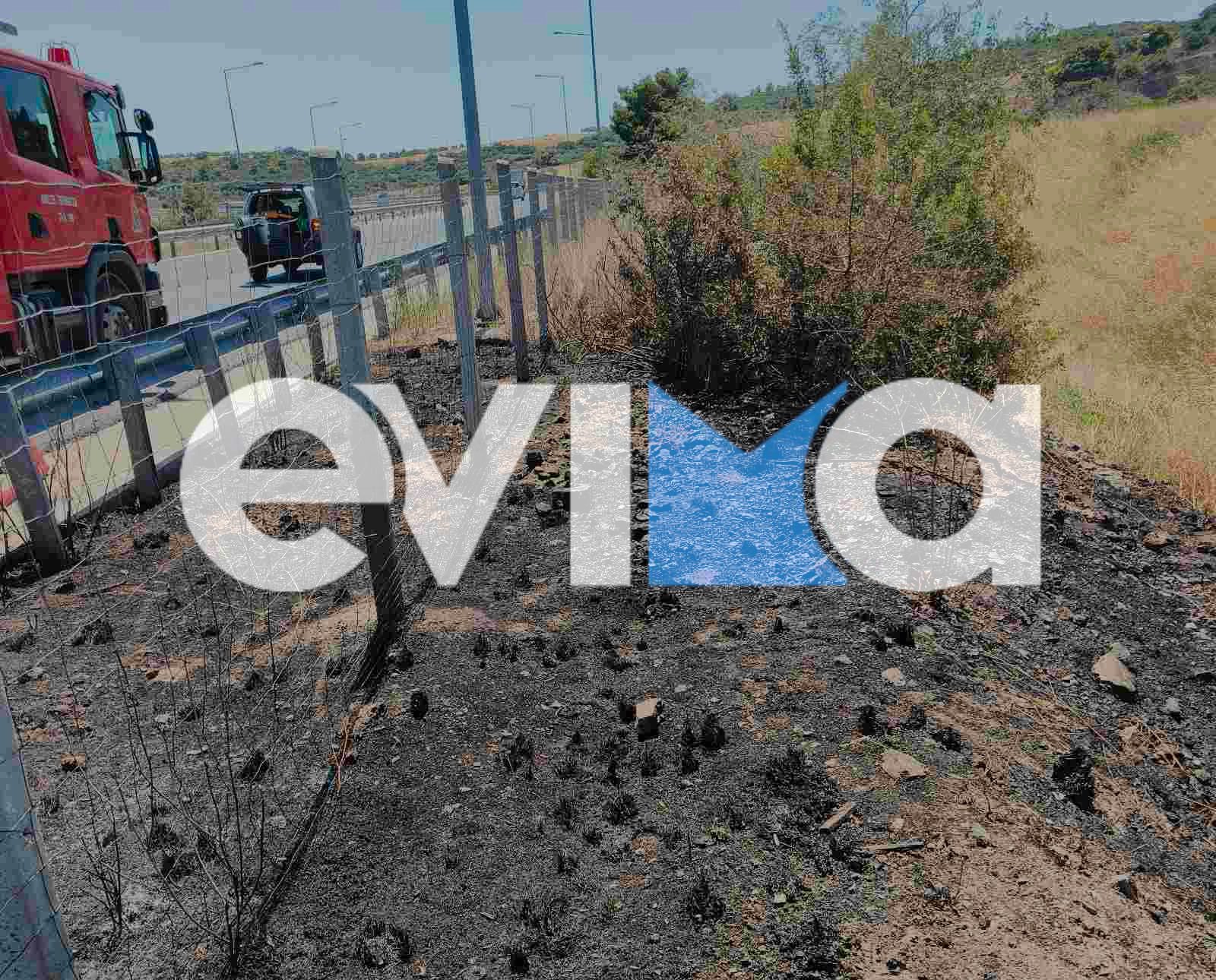 Φωτιά δίπλα σε κεντρικό δρόμο στην Εύβοια – Τι έκαψε Φωτιά δίπλα σε κεντρικό δρόμο στην Εύβοια – Τι έκαψε
