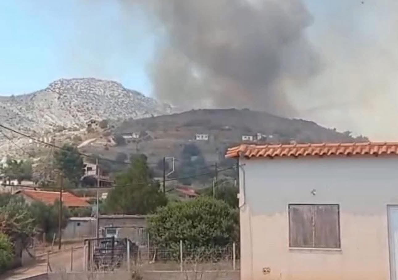 Φωτιά στη Βοιωτία κοντά σε σπίτια – Εκκενώνεται η Αλυκή Φωτιά στη Βοιωτία κοντά σε σπίτια – Εκκενώνεται η Αλυκή