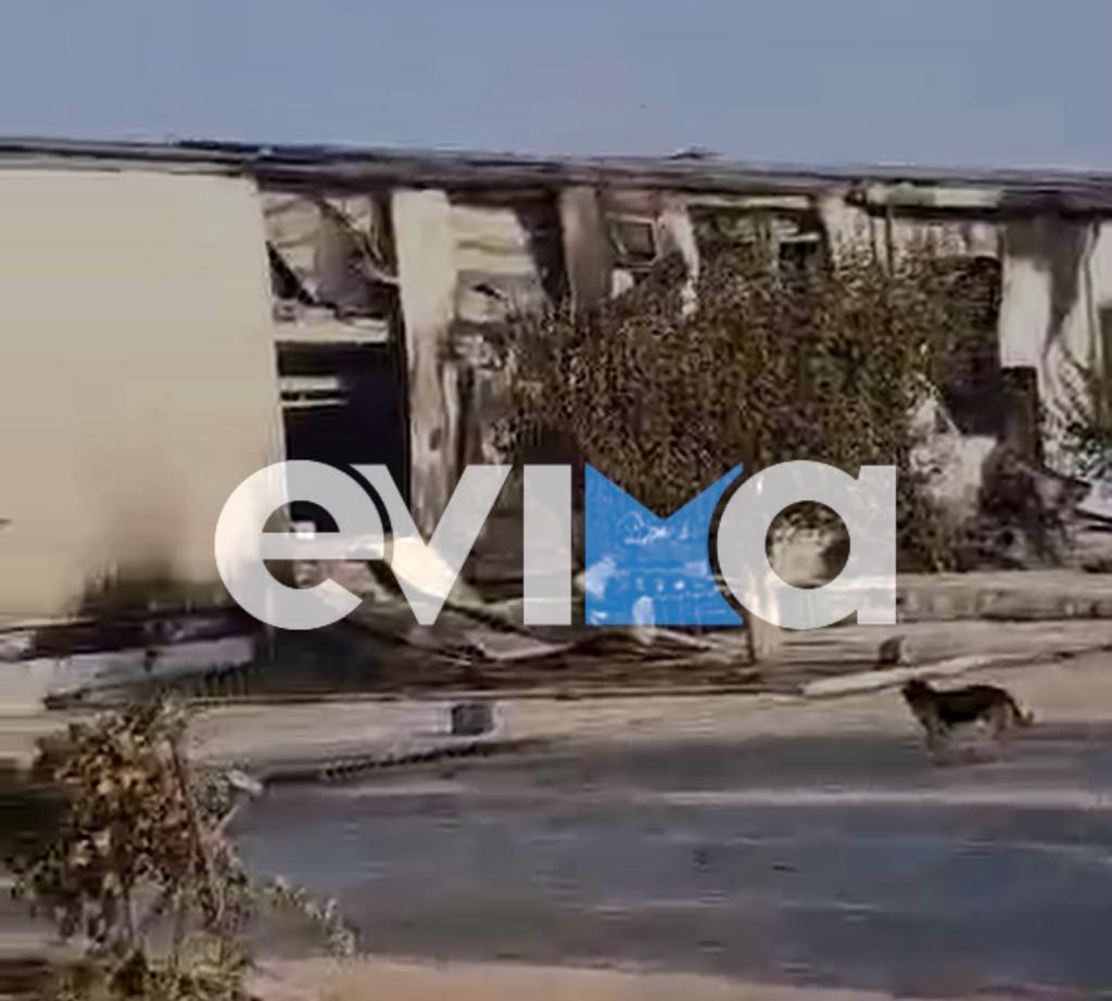 Τεράστια καταστροφή από τη φωτιά στην Εύβοια – Κάηκε ολοσχερώς φάρμα με ζώα (εικόνες&βίντεο) Τεράστια καταστροφή από τη φωτιά στην Εύβοια – Κάηκε ολοσχερώς φάρμα με ζώα (εικόνες&βίντεο)