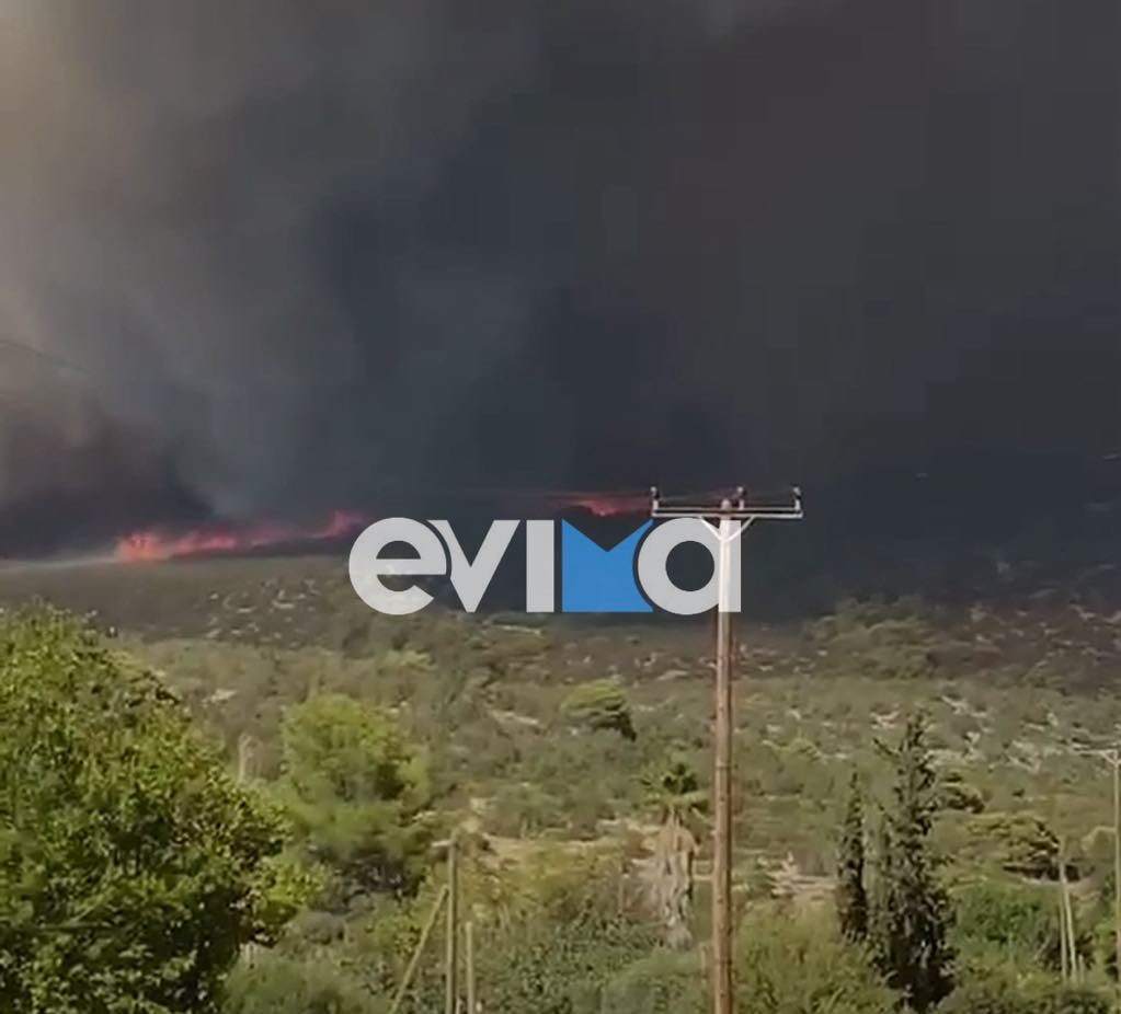 Εκτός ελέγχου η φωτιά στην Εύβοια: Το ένα μέτωπο κινείται προς Αφράτι (βίντεο)