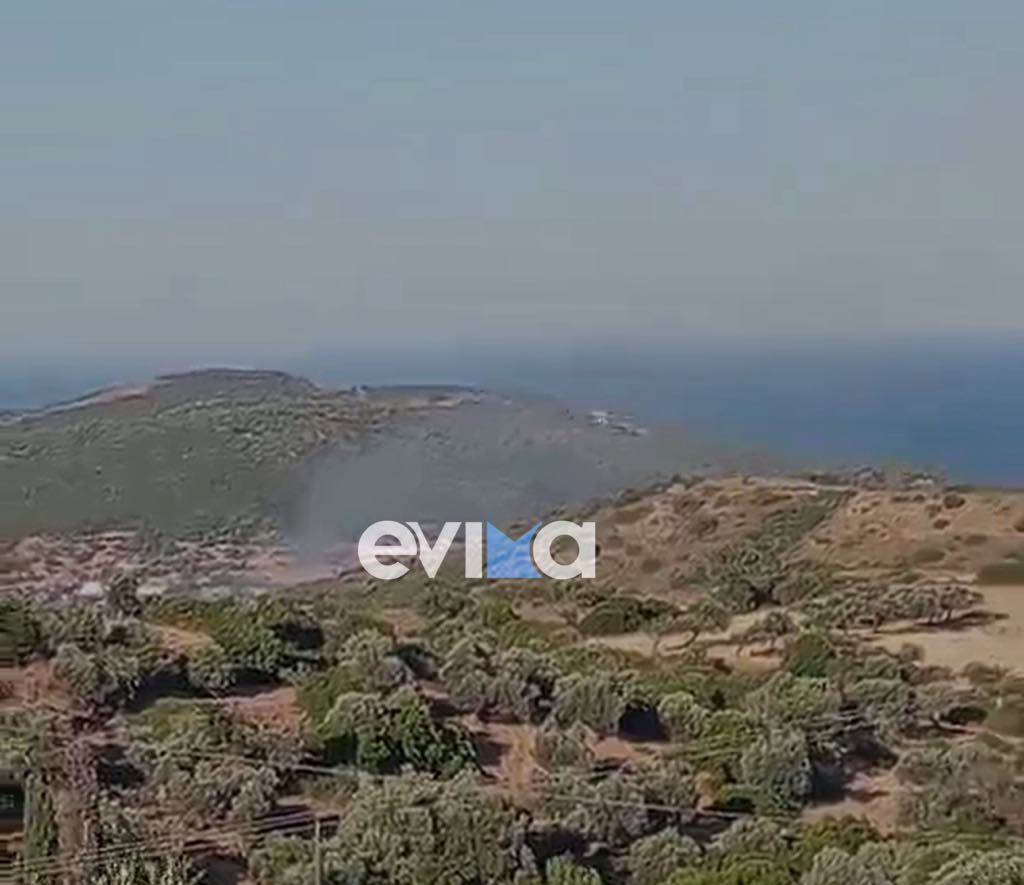 Φωτιά τώρα στην Εύβοια Φωτιά τώρα στην Εύβοια