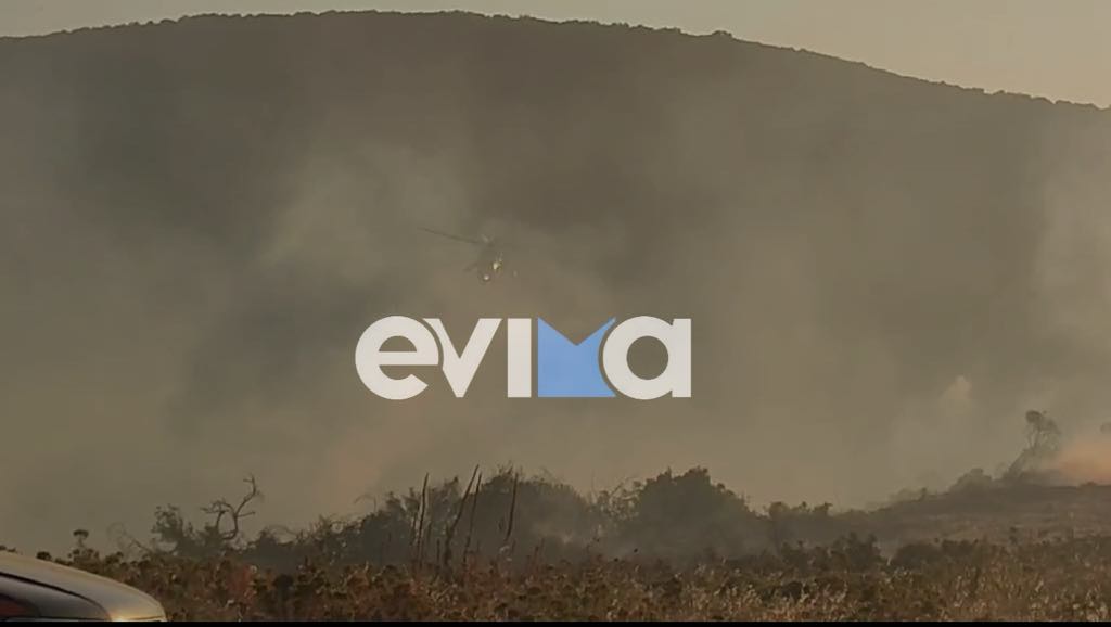 Πύρινος εφιάλτης στην Εύβοια: Στη μάχη της φωτιάς και εναέρια μέσα- Βίντεο Πύρινος εφιάλτης στην Εύβοια: Στη μάχη της φωτιάς και εναέρια μέσα- Βίντεο