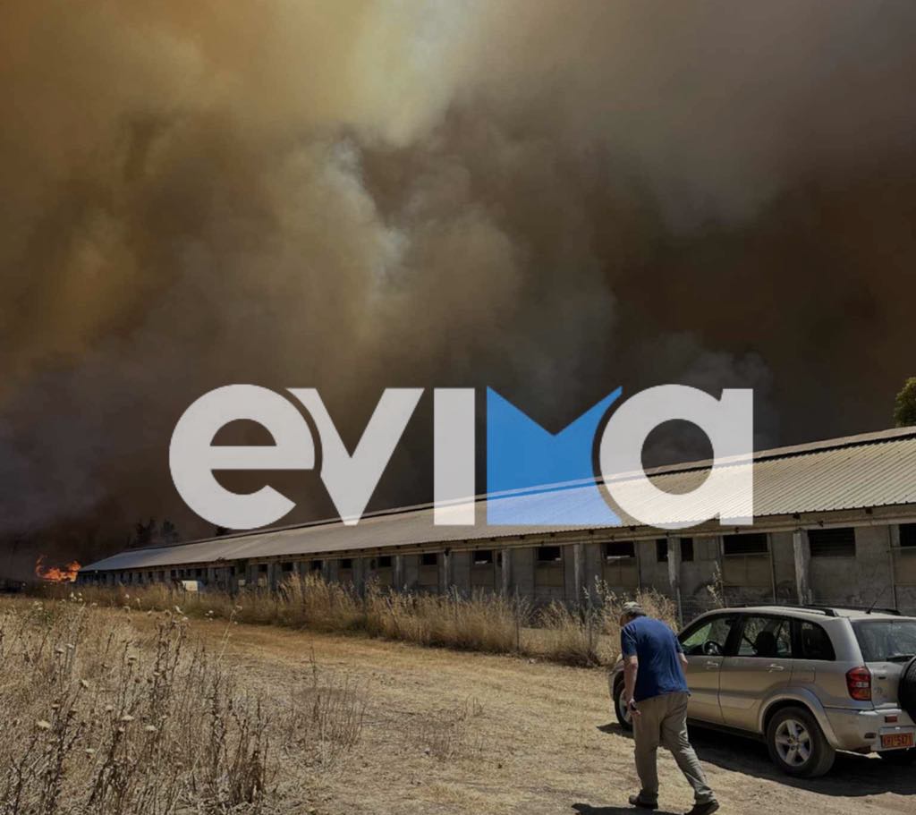 Μεγάλη φωτιά στην Εύβοια: Κινδυνεύει γνωστή επιχείρηση (εικόνα)
