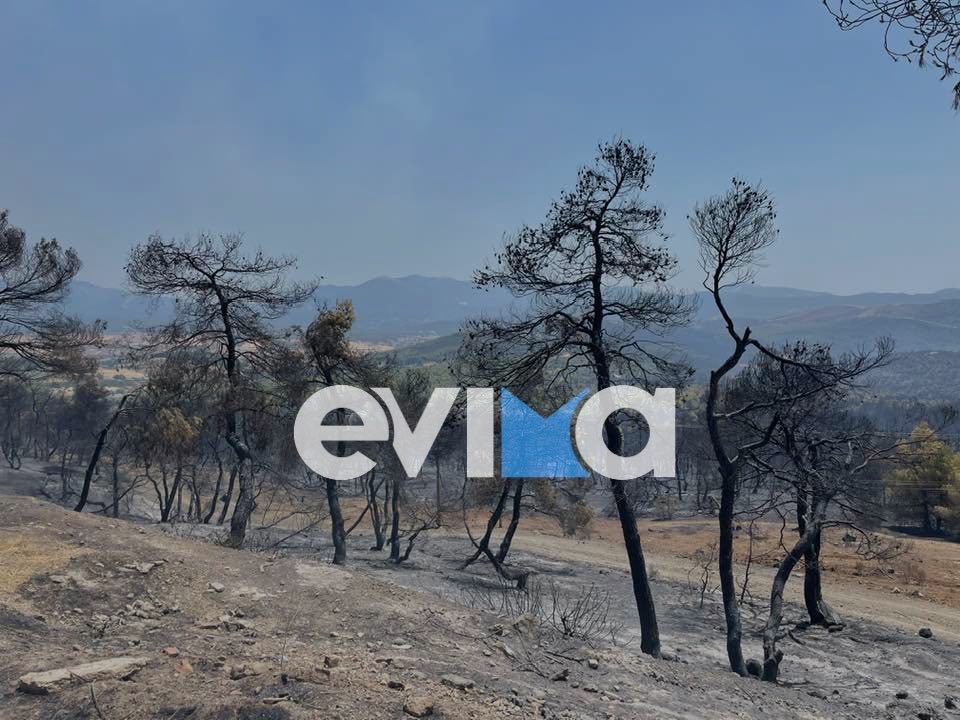 Αποκαρδιωτική εικόνα στην Εύβοια: Η φωτιά ρήμαξε δάσος, ζώα και περιουσίες (pics&vid) Αποκαρδιωτική εικόνα στην Εύβοια: Η φωτιά ρήμαξε δάσος, ζώα και περιουσίες (pics&vid)