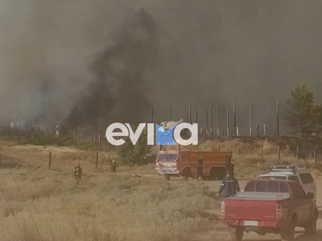 Μπήκε στη Χαλκίδα η φωτιά: Νέο συγκλονιστικό βίντεο – Εκκενώνονται σπίτια Μπήκε στη Χαλκίδα η φωτιά: Νέο συγκλονιστικό βίντεο – Εκκενώνονται σπίτια