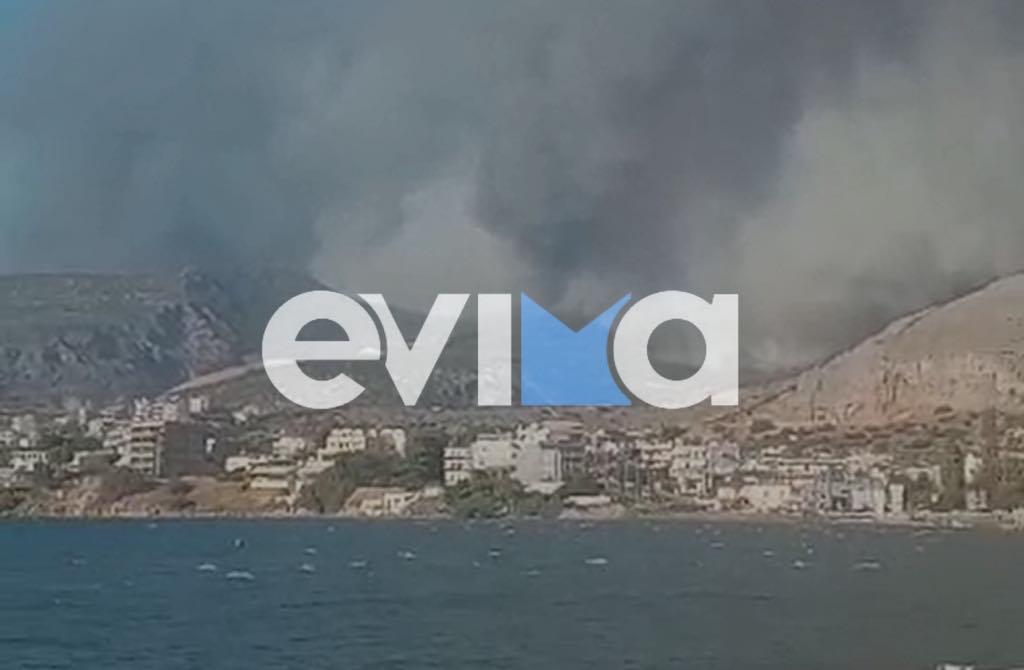 Στα όρια του Δήμου Χαλκιδέων η μεγάλη φωτιά (βίντεο) Στα όρια του Δήμου Χαλκιδέων η μεγάλη φωτιά (βίντεο)